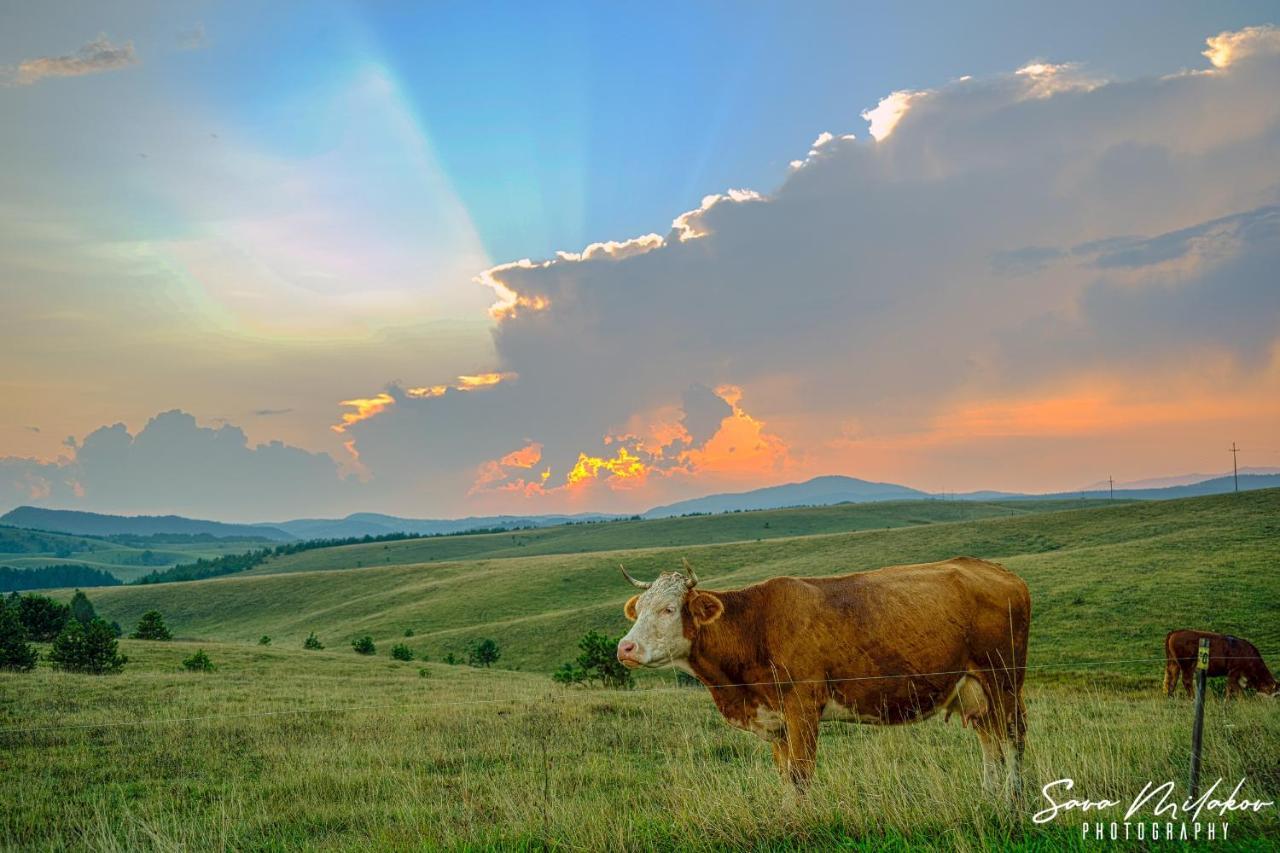 Apartman 65 Zlatibor Esterno foto